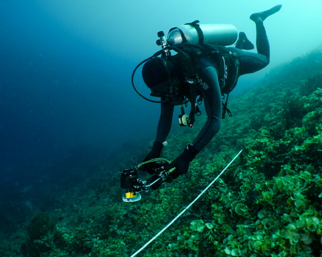 First dive in Raja Ampat