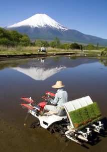 Agricultural problem - High-tech as a solution for shortage of workers and low productivity