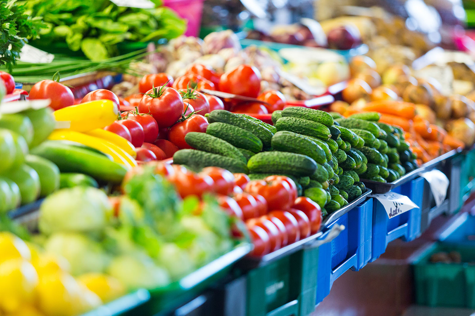Healthy Food And A Sustainable Food System Two Sides Of The Coin