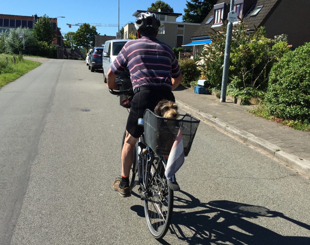 Wageningen bike