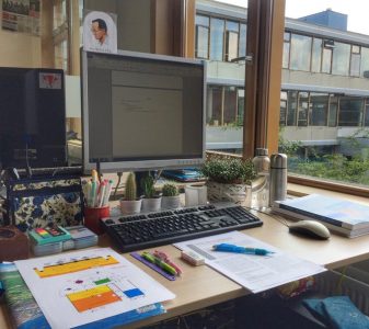 how-to-survive-you-thesis2
