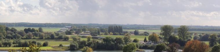 view from arboretum