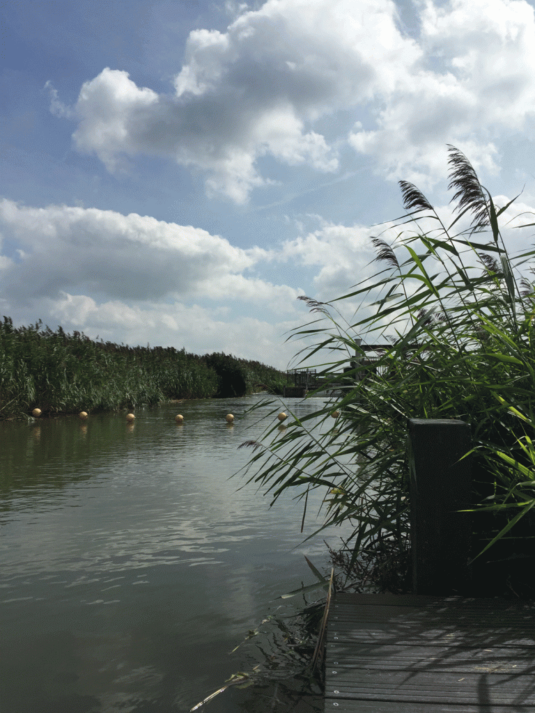 canal wageningen