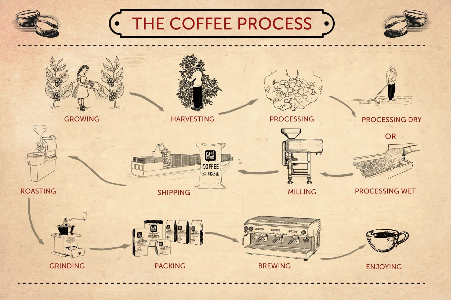 How To Make Coffee Process