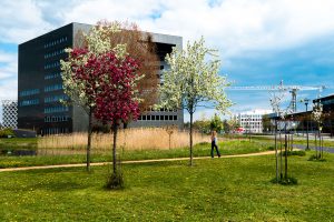 wageningen-university-campus-spring