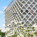 wageningen-university-research-academic-year-2021-2022