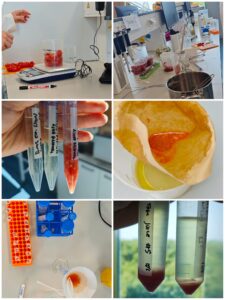 Lab and experiments at Wageningen University, student life at WUR