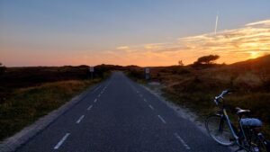 Texel heathers