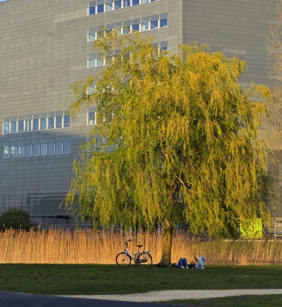 Orion WUR student life