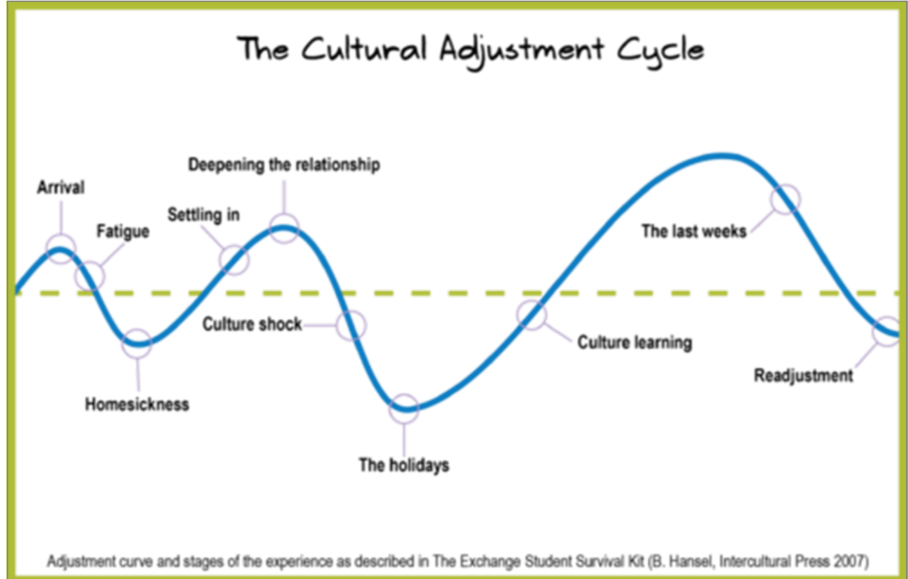 Cultural Adjustment Cycle exchnage