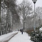 Snow in Wageningen