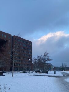 WUR in Snow