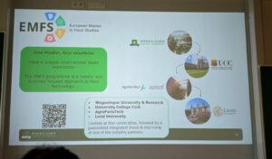 mod programme presntations MFT and EMFS