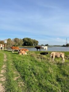 Wandering around Wageningen