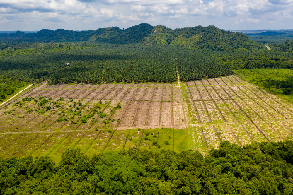 Action on biodiversity