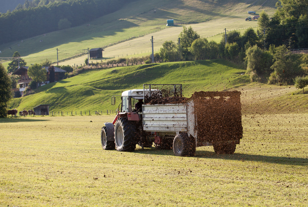 Separating manure: saving the climate 