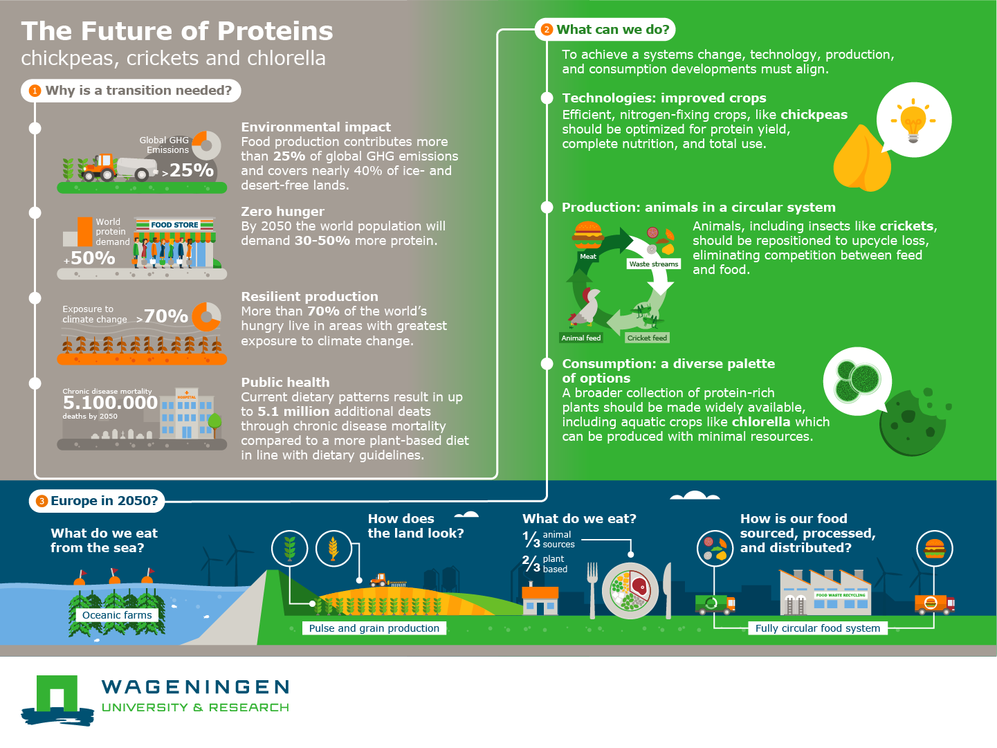 Proteins of our future