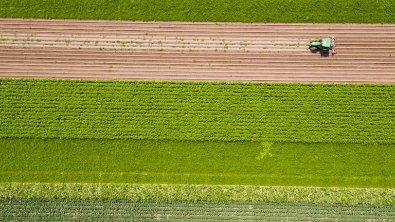 more-nature-in-fields-through-strip-cropping-spotlight