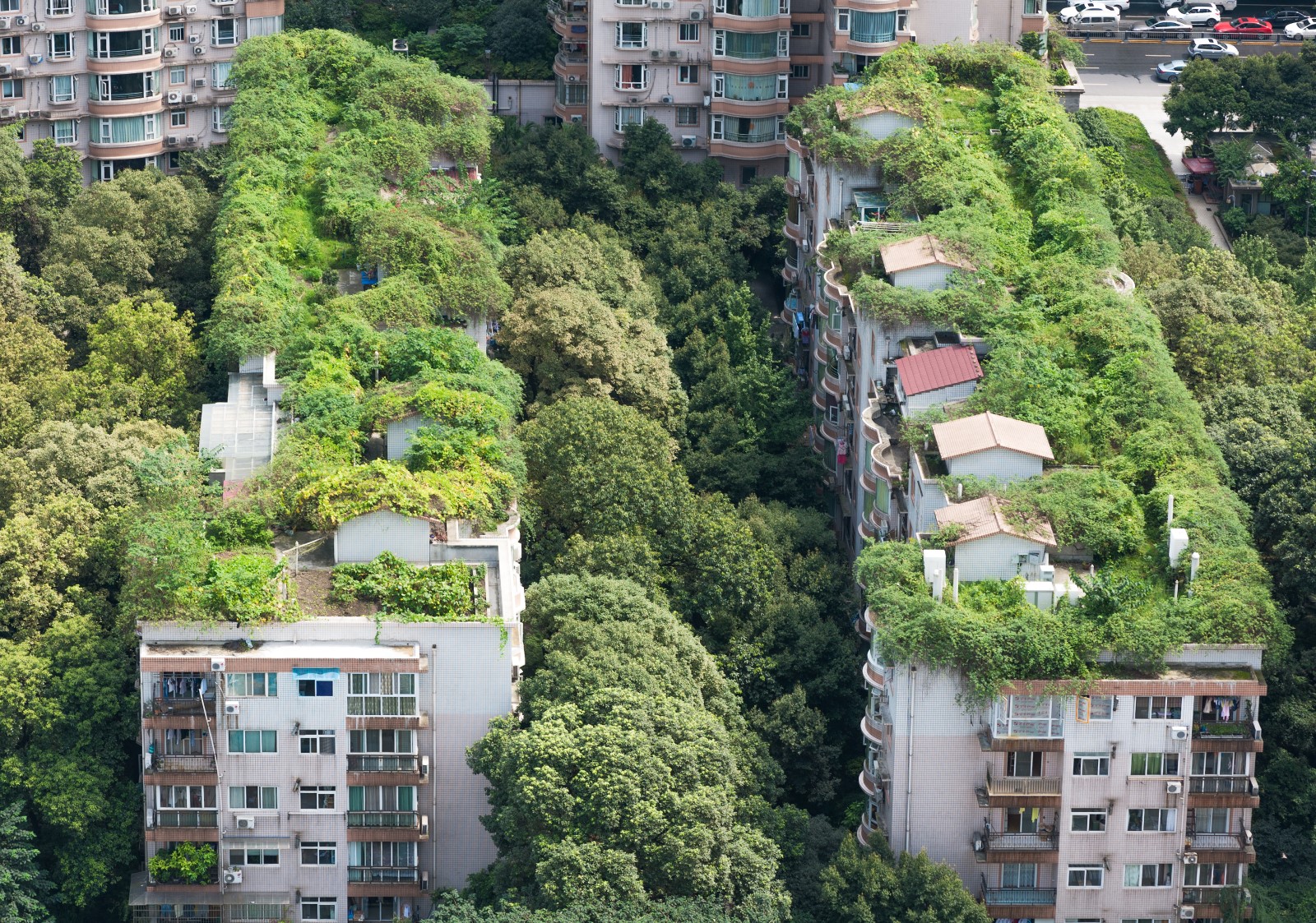 Smart green roofs