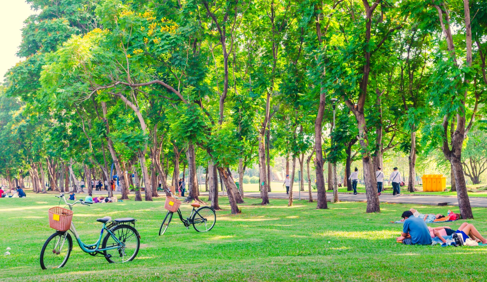 Park in the city